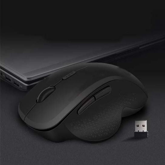 Souris sans fil universelle pour PC et Mac